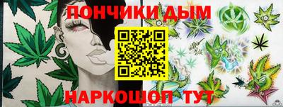 индика Камышлов