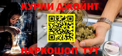 индика Камышлов