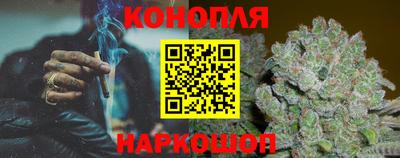индика Камышлов