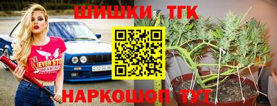 индика Камышлов
