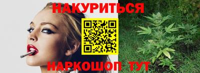 индика Камышлов