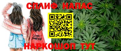 индика Камышлов