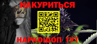индика Камышлов