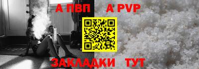 индика Камышлов