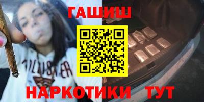 индика Камышлов