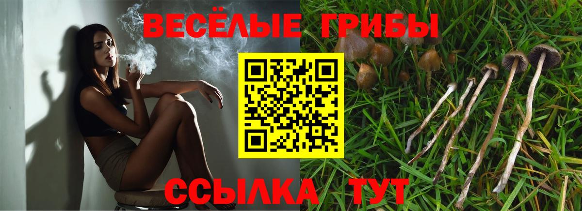 Галлюциногенные грибы Magic Shrooms  Вход с VPN  Галлюциногенные грибы мухоморы  Кузнецк 
