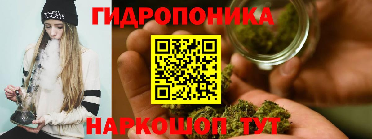 Конопля Bruce Banner  Каннабис сатива  Вход с VPN  Бошки Шишки планчик  Кузнецк  МАРИХУАНА семена 